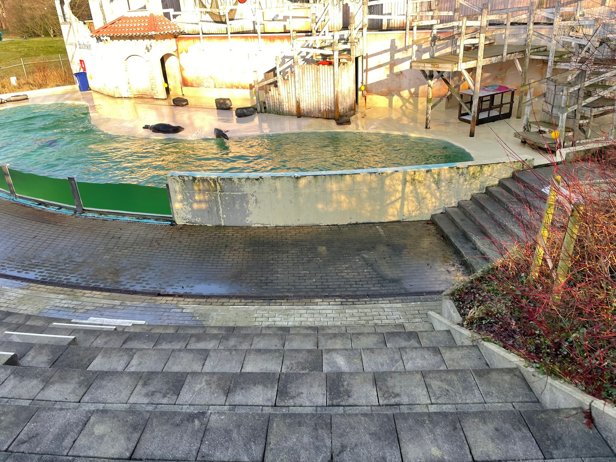 Sint-Martinus den XIIde - Winterkamp JVK 2024